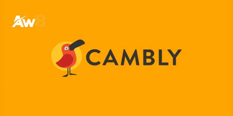 Trở thành gia sư tại app Cambly