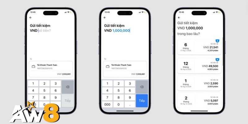 Nhập Số Tiền Gửi và Chọn Kỳ Hạn